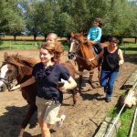 groede_zoete_peerd_6