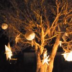 Nieuwvliet – Winter Wonderland