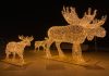 Weihnachtlich illuminierte Promenade in Knokke-Heist