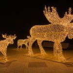 knokke_winter_promenade_2022_3