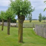 knokke-heist_hotel_b&b_knotwilgenhoeve_3