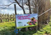 Aardenburg: Blumen- und Obsthof "Pluktuin Aardenburg"