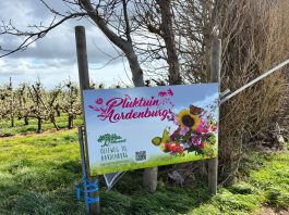 Aardenburg: Blumen- und Obsthof "Pluktuin Aardenburg"