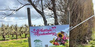 Aardenburg: Blumen- und Obsthof "Pluktuin Aardenburg"