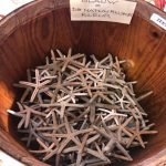 Cadzand_Giftshop_2021_11