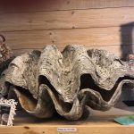 Cadzand_Giftshop_2021_9