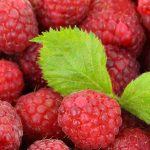 obst_berries-pixabay_2276_1920