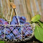 obst_plums-pixabay_1649602_1920