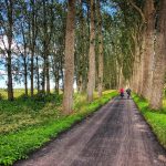 Damme_DamseVaart_2021_3