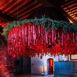 Damme_Winterblumen_Frederiek Van Pamel_1