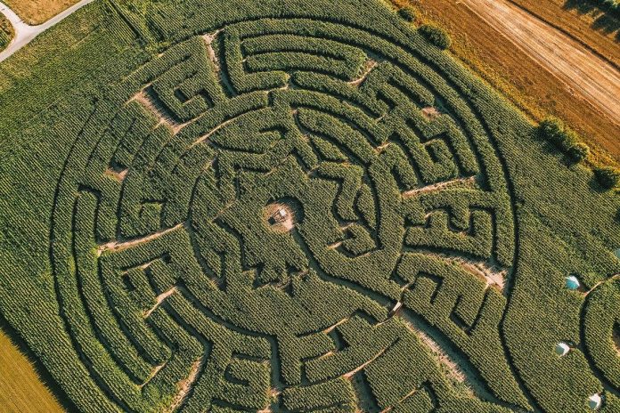 Maislabyrinth Damme