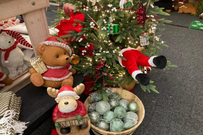 oostburg_life_garden_weihnachtsmarkt_2024_11 Weihnachtsmarkt bei Ligfe & Garden in Oostburg