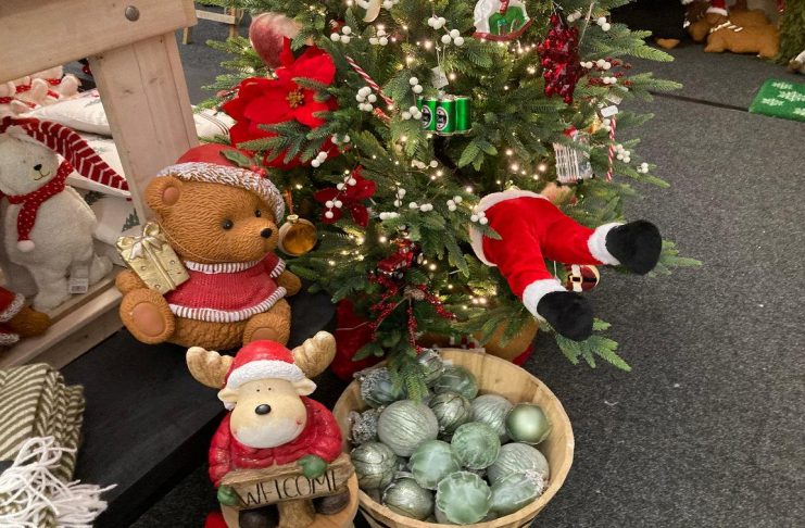 Weihnachtsmarkt bei Ligfe & Garden in Oostburg