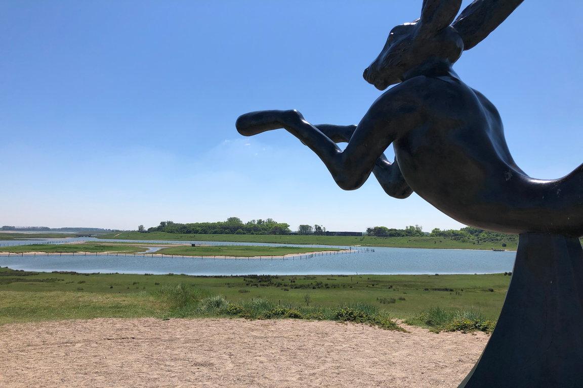 Knokke-Heist_Hospitality_Bunny_4