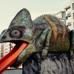 knokke-heist_Jeremy Deller – Ask the Animals and They Will Teach You _2